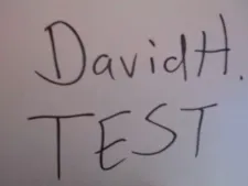 Davidhmodel 1