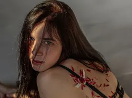 Photo de la webcam 4