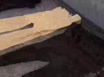 Les culottes ont toujours fière allure