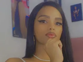 Photo de la webcam 3