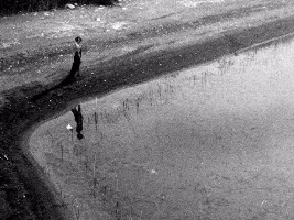 Photo de la webcam 5