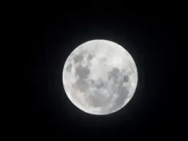 Photo de la webcam 1