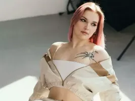 Photo de la webcam 5