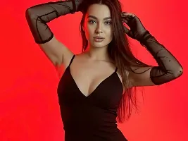 Photo de la webcam 2