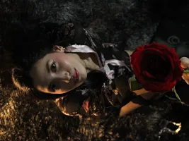 Photo de la webcam 3