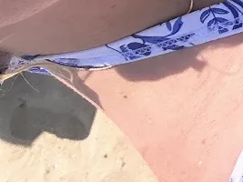 Photo de la webcam 4