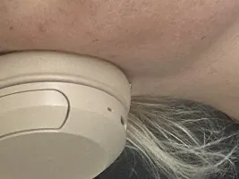 Photo de la webcam 2