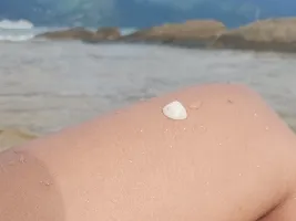 Photo de la webcam 6