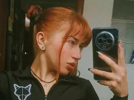 Photo de la webcam 6