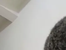 Kayl 81