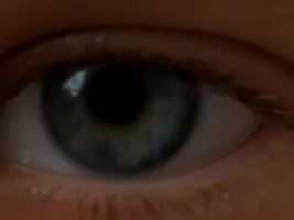Photo de la webcam 4